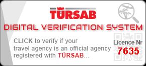 istanbul vip airport transfer